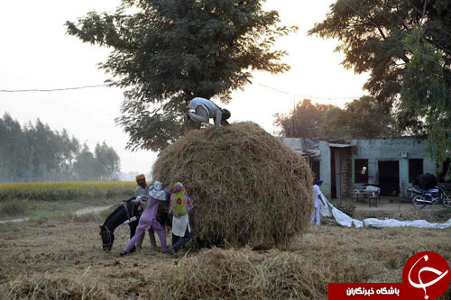 از نمایش سواره&zwnj;نظام ارتش مراکش تا فرار تروریست&zwnj;های سوریه از دمشق
