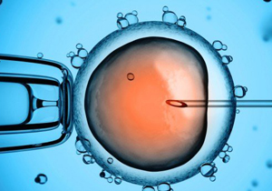 ناباروری در پسرانی که از طریق IVF متولد می‌شوند