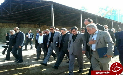 بازدید رییس کل بانک مرکزی از یک واحد کشتار دام