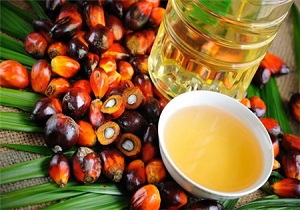 تاثیر روغن پالم بر سلامت مردم/ از رژیم های غذایی مناسب استفاده کنید