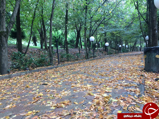 تصاویری زیبا از منطقه نمک آبرود