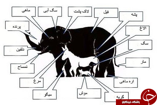 این عکس&zwnj;های عجیب شما را گیج می&zwnj;کند