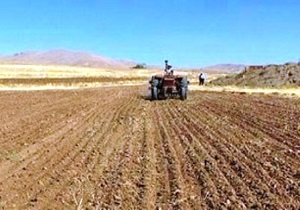 قبل از شروع بارندگی های موثر اقدام به کشت کنید