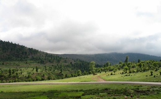 جنگل اولنگ کجاست + تصاویر