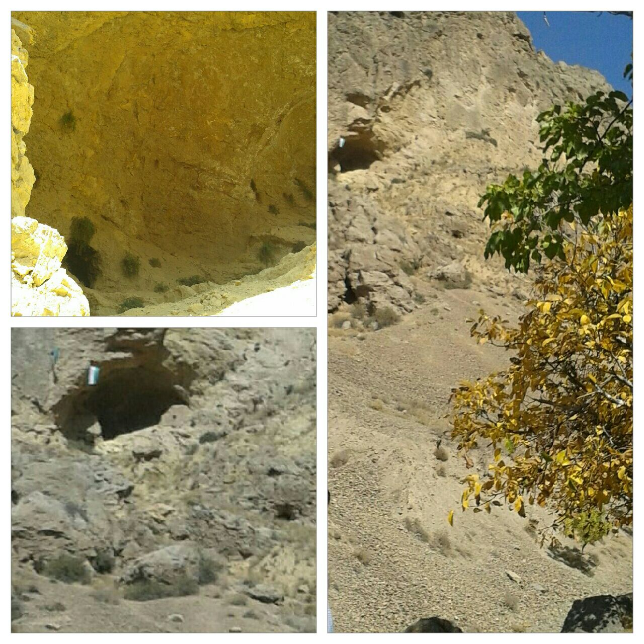 برگزاری همایش بزرگداشت شیخ عزالدین سوقتدی در نیشابور