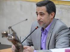 سعیدی:فدراسیون ها در تصمیم گیری آزادی عمل دارند