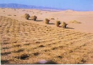 پیش‌روی بیابان‌ها تا مرز 28 کیلومتری قم