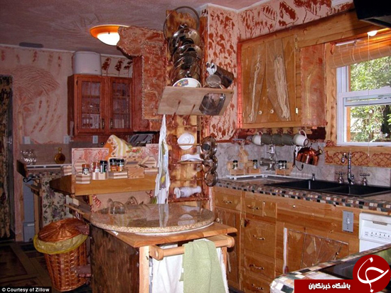 این خانه لرزه به جان کاربران اینترنت انداخته است +تصاویر