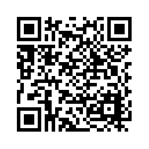 PlayerPro