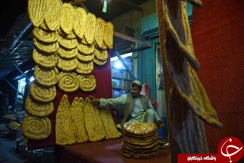 از ثبت رکورد پاراگلایدرسواران تا بلایی که یک گاو بر سر ماتادورش آورد