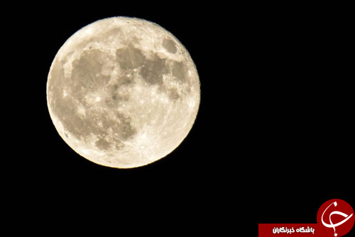 از ثبت رکورد پاراگلایدرسواران تا بلایی که یک گاو بر سر ماتادورش آورد