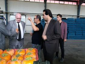دیدار سرکنسول روسیه با معاون استاندار گلستان
