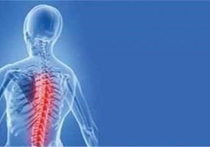راه یابی 210 مقاله به کنگره بیماری ‌های اسکلتی و عضلانی