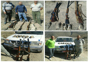 کشف وضبط 11 قطعه کبک از شکارچیان غیرمجاز در مازندران