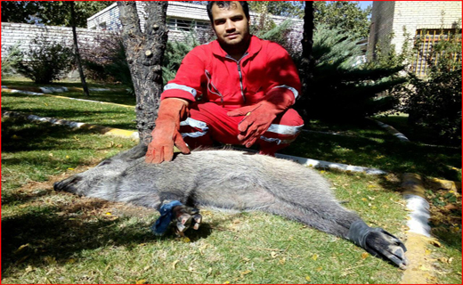 از قتل بیرحمانه با ضربات چاقو تا ردیابی یک شبکه تکدی گری