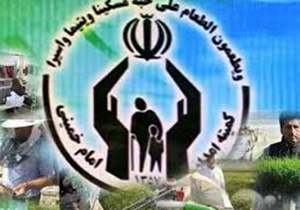 پرداخت تسهیلات اشتغالزایی به مددجویان نی ریزی