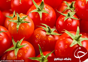 گوجه را در یخچال نگهداری نکنید