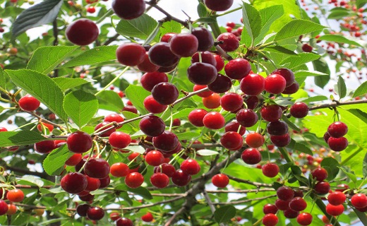 آبشار مجن کجاست + تصاویر