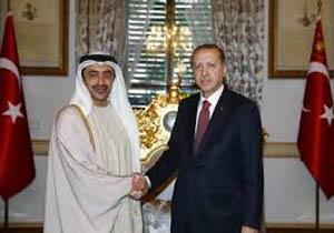 دیدار اردوغان و وزیر خارجه امارات در استانبول