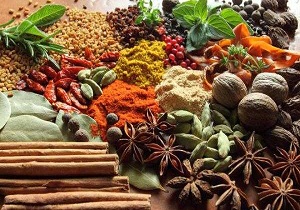 توسعه کشت گیاهان دارویی درسمنان