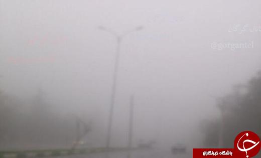 گرگان در مه به روایت تصویر