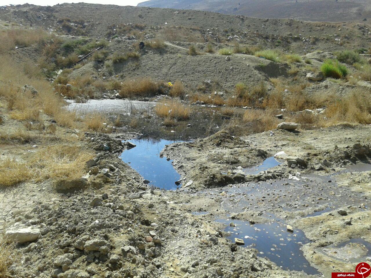 دفع غیربهداشتی صدها تن زباله در طبیعت + تصاویر