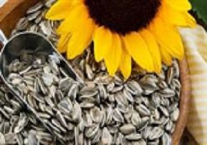 محبوبیت تخمه سنقری در بین مردم