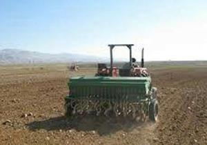 آغاز کشت گندم و جو در مزرعه های آران و بیدگل