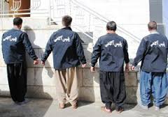 شناسایی و متلاشی شدن 6 گروه سرقت