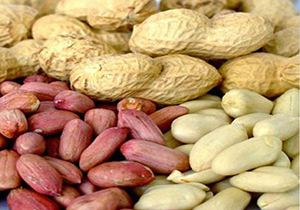 جریمه سه میلیارد ریالی برای قاچاقچی مغز بادام