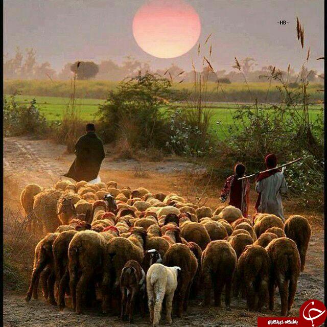 عکس&zwnj;هایی از کشور افغانستان که چشم را می&zwnj;نوازد