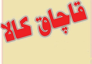 دستگیری قاچاقچیان گوشی تلفن همراه در استان