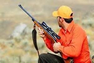 صدور پروانه شکار پرندگان وحشی در گلستان