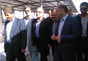 بازدید معاون وزیر کشور از بازارچه عرضه مرغ زنده در بلوار کشاورز زاهدان