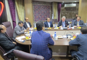 ایرلندی ها و احداث نیروگاه خورشیدی در قزوین