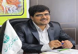 درمان آلودگی هوا با رسیدن به حد مطلوب دولت الکترونیک