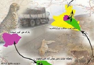 تشدیدحفاظت از یوز آسیایی