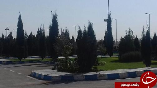 فضا سبزی زیبا و بدون بو در تصفیه خانه شهرک صنعتی بیرجند