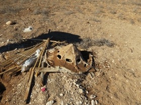 پاکسازی کامل رامهرمز و رامشیر از دام پرندگان