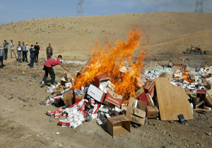 امحاء بیش از 6 و نیم میلیون نخ سیگار قاچاق در خرم آباد