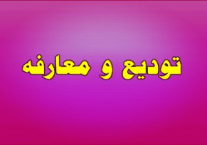 معرفی فرمانده جدید انتظامی شهرستان میناب