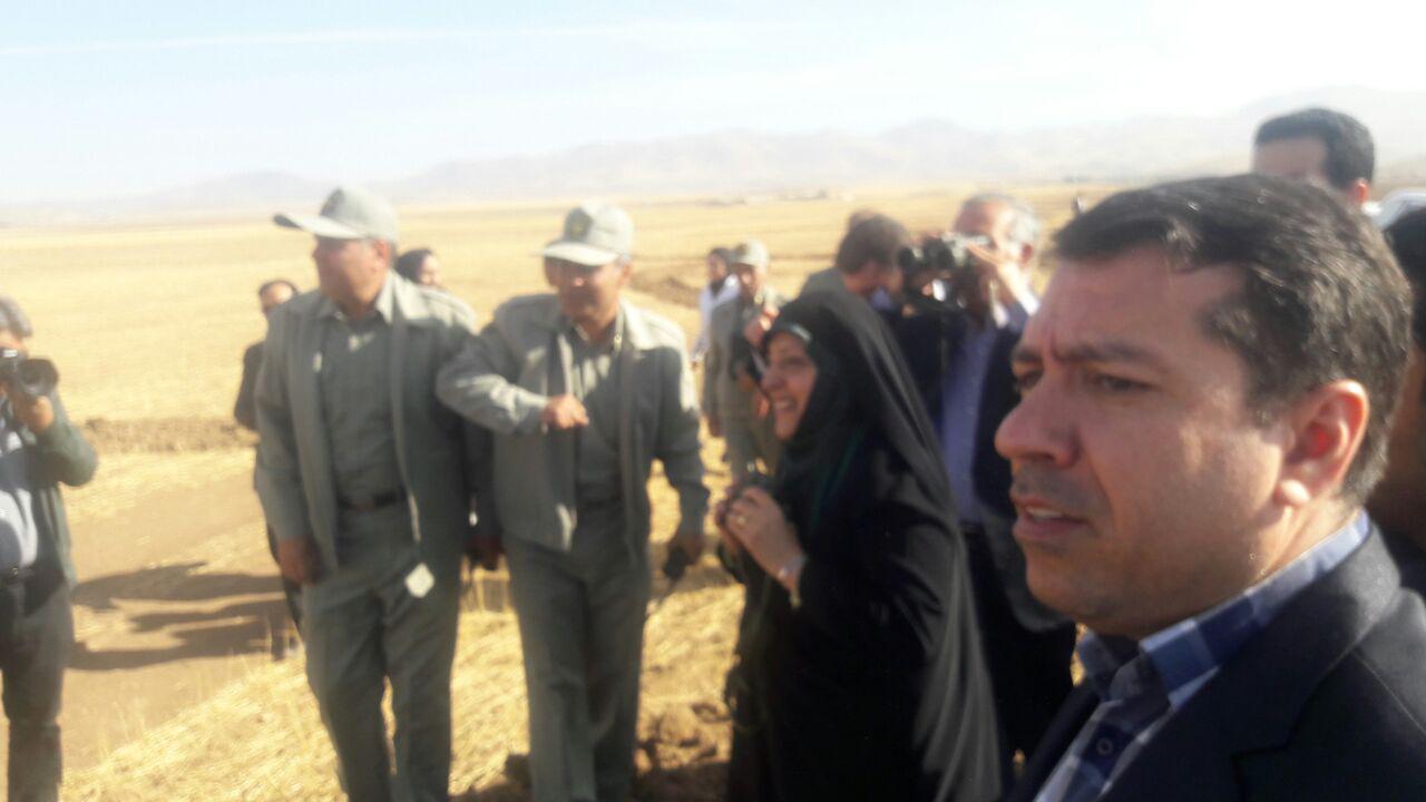 بازدید معصومه ابتکار از دشت سهرین زنجان+تصاویر