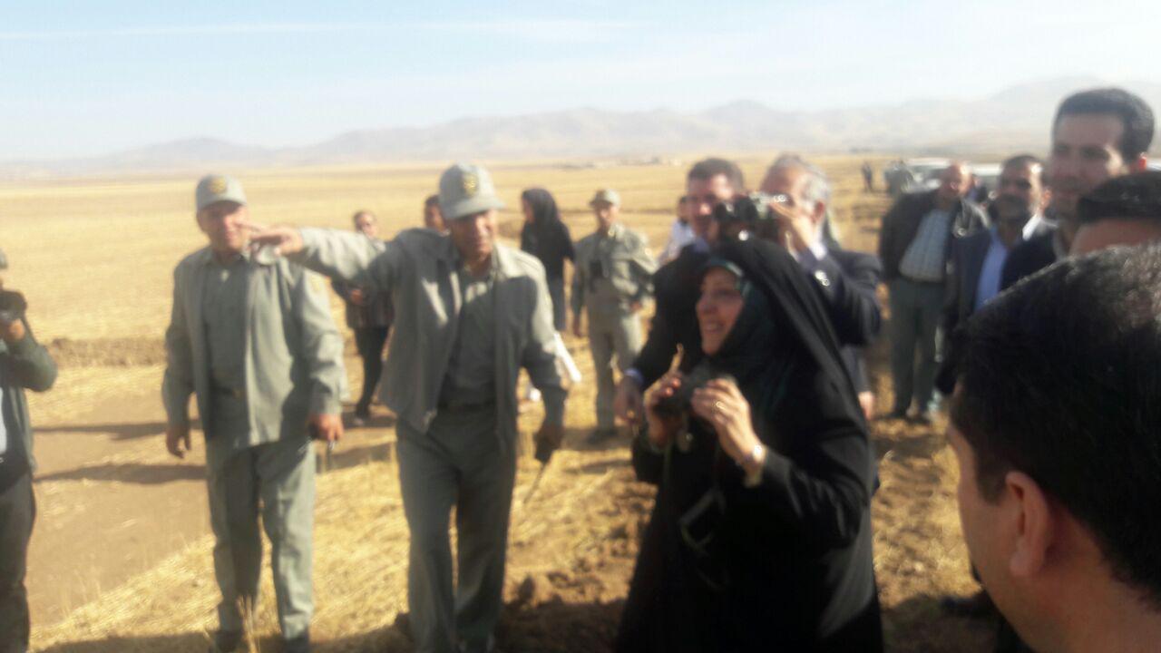 بازدید معصومه ابتکار از دشت سهرین زنجان