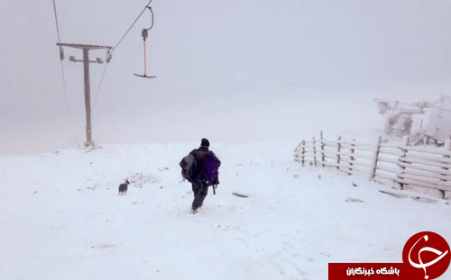 از میمونی که سیگار می&zwnj;کشد تا تفاوت چشمگیر هواپیمای اختصاصی ترامپ با کلینتون