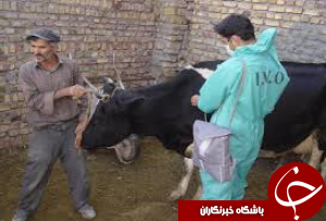 بازدید از مراکز بخش خصوصی شبکه دامپزشکی شهرستان بیرجند