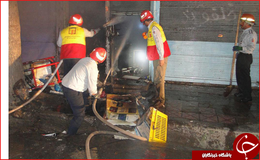 از سرگردانی مار سمی تا برخورد مرگبار با گاردریل