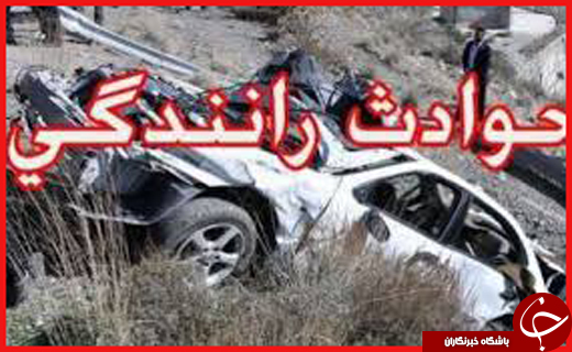از سرگردانی مار سمی تا برخورد مرگبار با گاردریل