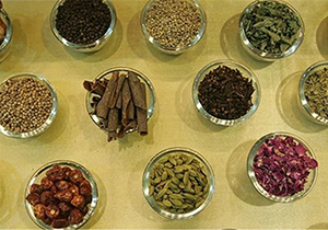 کاشت بذر بادام کوهی و کُنار در فارس