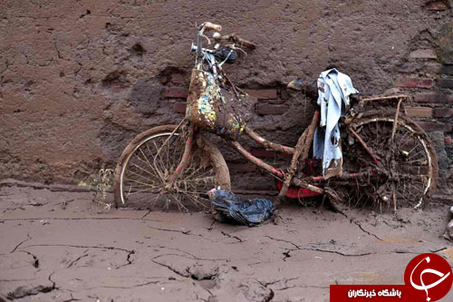 از نمایش دختربچه&zwnj;های افغان در روز جهانی صلح تا تولد 50 سالگی یک اسب آبی