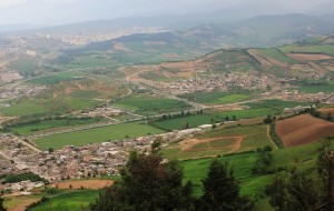 رهاسازی 16بهله پرنده شکاری در تپه هزار پیچ گرگان